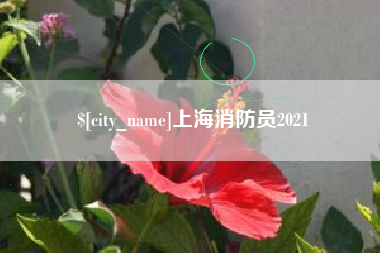 栖霞上海消防员2021
