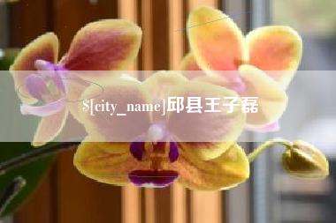 栖霞邱县王子磊