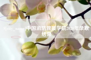 栖霞中国消防救援学院2020年录取结果