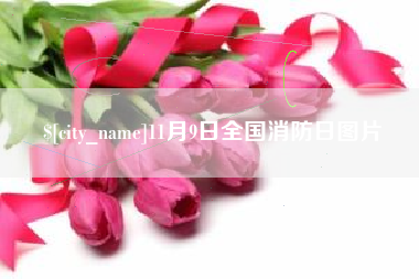 栖霞11月9日全国消防日图片