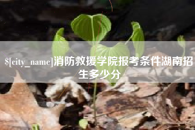 栖霞消防救援学院报考条件湖南招生多少分