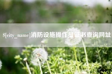 栖霞消防设施操作员证书查询网址