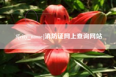 栖霞消防证网上查询网站