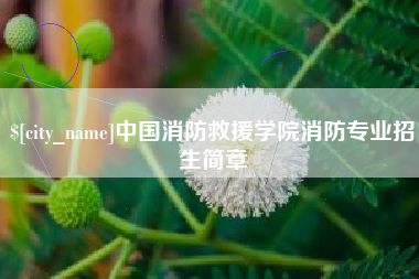 栖霞中国消防救援学院消防专业招生简章