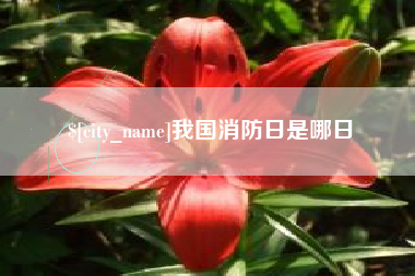 栖霞我国消防日是哪日