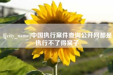 栖霞中国执行案件查询公开网都是执行不了得案子
