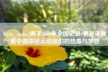 栖霞男子5000米全国记录-更是承载着中国田径运动员们的热血与梦想