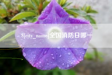 栖霞全国消防日哪一