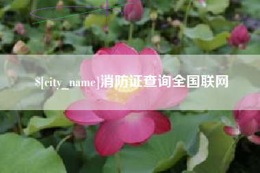 栖霞消防证查询全国联网