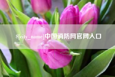 栖霞中国消防网官网入口
