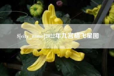 栖霞2022年九宫格飞星图