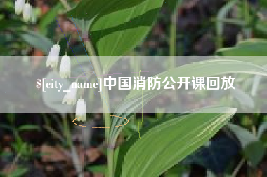 栖霞中国消防公开课回放