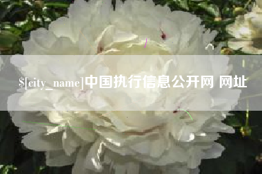 栖霞中国执行信息公开网 网址
