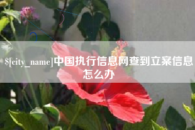 栖霞中国执行信息网查到立案信息怎么办