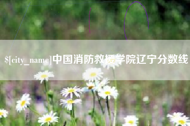 栖霞中国消防救援学院辽宁分数线