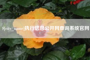 栖霞执行信息公开网查询系统官网