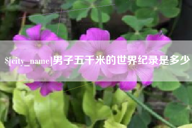 栖霞男子五千米的世界纪录是多少