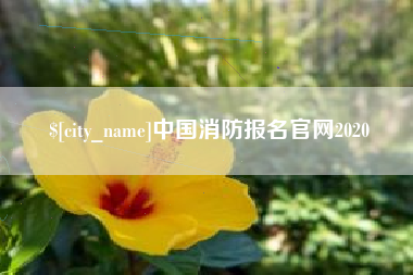 栖霞中国消防报名官网2020