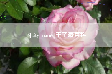 栖霞王子豪百科