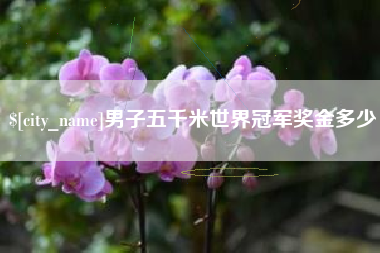 栖霞男子五千米世界冠军奖金多少