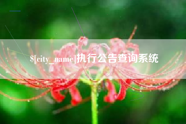 栖霞执行公告查询系统