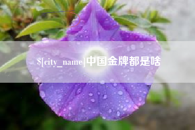 栖霞中国金牌都是啥