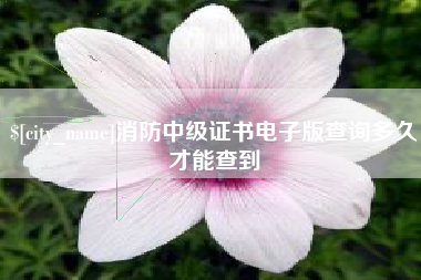 栖霞消防中级证书电子版查询多久才能查到