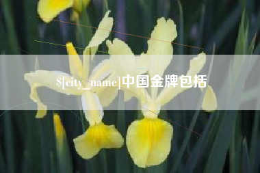 栖霞中国金牌包括