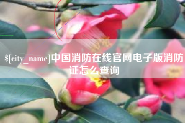 栖霞中国消防在线官网电子版消防证怎么查询