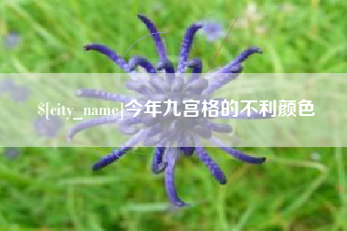 栖霞今年九宫格的不利颜色