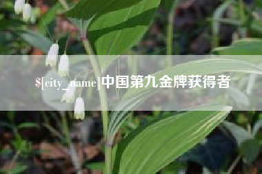 栖霞中国第九金牌获得者
