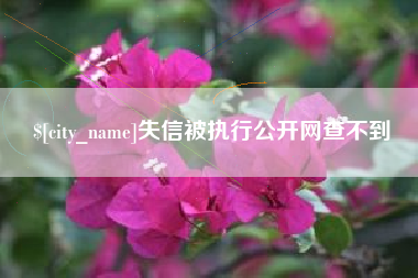 栖霞失信被执行公开网查不到