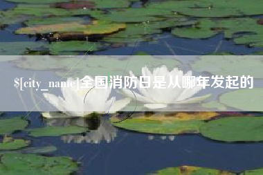 栖霞全国消防日是从哪年发起的