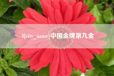 栖霞中国金牌第九金
