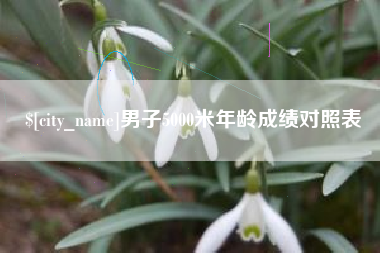 栖霞男子5000米年龄成绩对照表