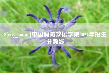 栖霞中国消防救援学院2024年招生分数线