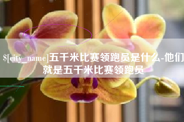 栖霞五千米比赛领跑员是什么-他们就是五千米比赛领跑员