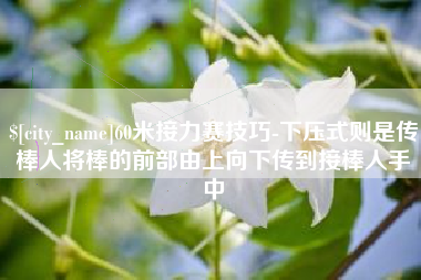 栖霞60米接力赛技巧-下压式则是传棒人将棒的前部由上向下传到接棒人手中