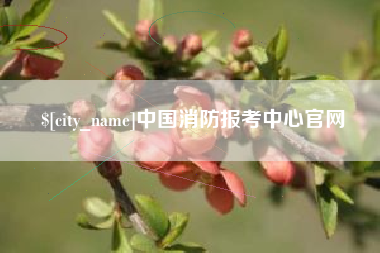 栖霞中国消防报考中心官网