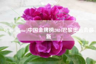 栖霞中国金牌榜2024巴黎奥运会最新