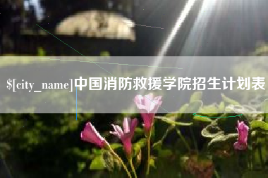 栖霞中国消防救援学院招生计划表