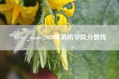 栖霞2020年消防学院分数线