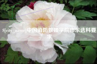 栖霞中国消防救援学院山东选科要求
