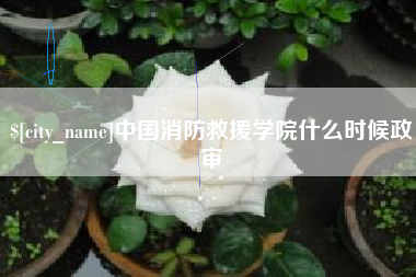 栖霞中国消防救援学院什么时候政审