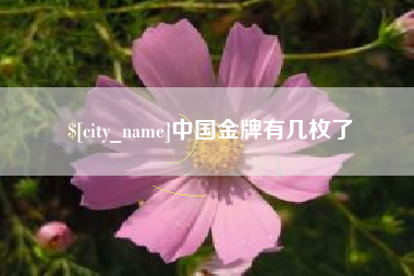 栖霞中国金牌有几枚了