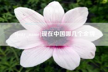 栖霞现在中国哪几个金牌