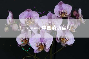 栖霞中国消防官方