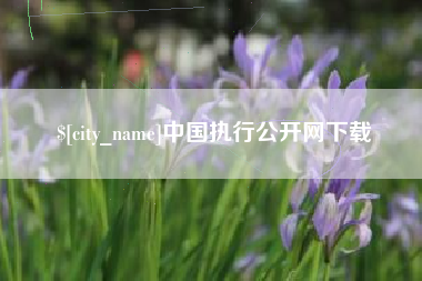 栖霞中国执行公开网下载