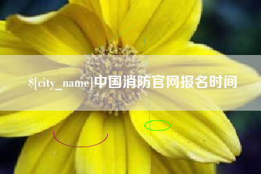 栖霞中国消防官网报名时间
