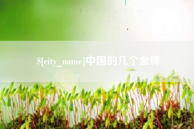 栖霞中国的几个金牌